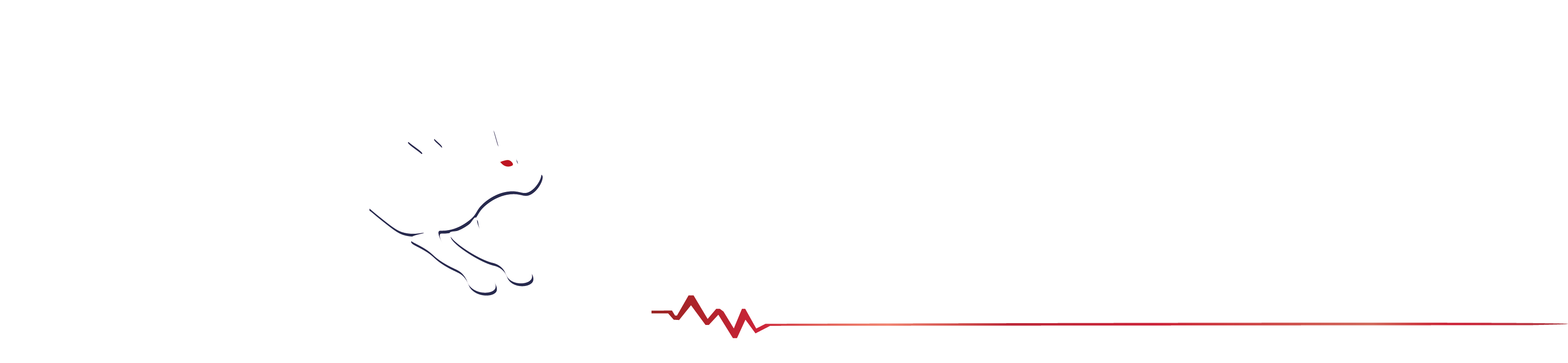 WolfMEDIC